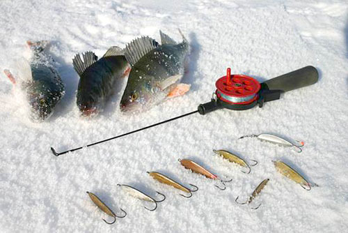 Зимняя рыбалка в Астрахани (Дельта Волги). Фото с сайта http://raskaty.ru