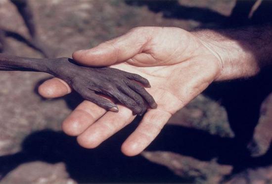 Голодающий и миссионер. Апрель 1980 года. Район Карамоджа (Karamoja), Уганда.