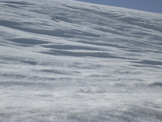 Снежные барханы. Снежные барханы.