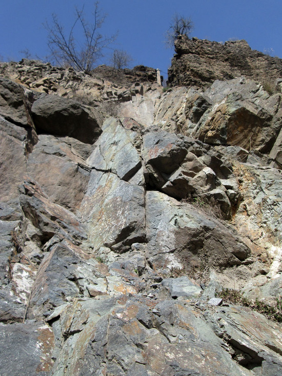 Жизнь на камнях. Жизнь на камнях.