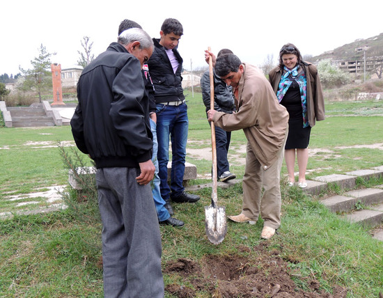 Лунку копает начальник отдела коммунального хозяйства Алик Айрумян. Лунку копает начальник отдела коммунального хозяйства Алик Айрумян.