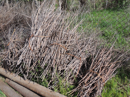 Обрезанные сухие ветви от виноградной лозы. Их используют для приготовления шашлыка, даёт хороший жар и угла. Обрезанные сухие ветви от виноградной лозы. Их используют для приготовления шашлыка, даёт хороший жар и угла.