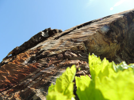 Здесь Здесь