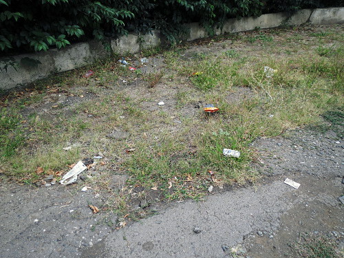 Мусор в парке имени Ашота Гуляна. Нагорный Карабах, Степанакерт. 1 сентября 2013 г. Фото Алвард Григорян для "Кавказского узла"