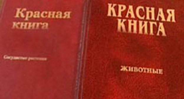 Фото с сайта www.ekburg.ru