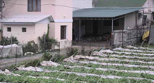 Стандартное домовладение в Имеретинской низменности. Фото "Кавказского Узла"