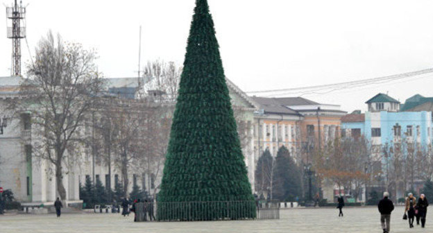 Елка на Площади Ленина в Махачкале. Дагестан, 24 декабря 2012 г. Фото Ахмеда Магомедова для "Кавказского узла"