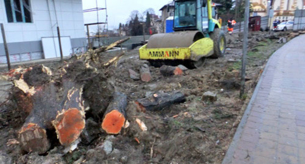 Строителями была полностью уничтожена зеленая зона на улице Виноградной. Сочи, 20 февраля 2013 г. Фото Светланы Кравченко для "Кавказского узла"