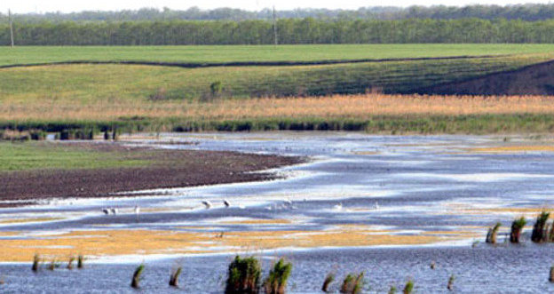 Озеро Маныч-Гудило. Фото: официальный портал туризма Ростовской области, http://dontourism.ru