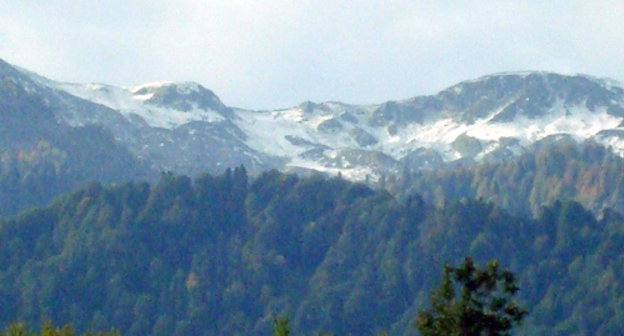 Вид с горы Аибга на предполагаемые территории для создания снегохранилищ. Фото Светланы Кравченко для "Кавказского узла"