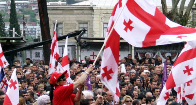 Акция "Единого национального движения" в Тбилиси 19 апреля 2013 г. Фото Эдиты Бадасян для "Кавказского узла"