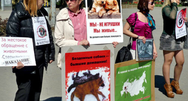 Акция в защиту бездомных животных прошла в рамках Всероссийской акции "Россия без жестокости". Ростов-на-Дону, 27 апреля 2013 г. Фото Олеси Диановой для "Кавказского узла"