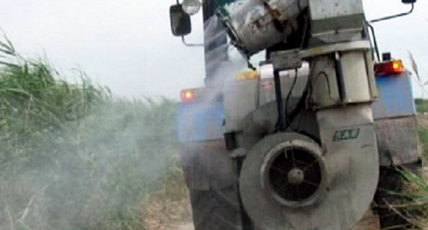 Борьба с саранчой в Шелковском районе Чечни. Июнь 2013 г. Фото пресс-службы ГУ МЧС России по Чеченской Республике, www.95.mchs.gov.ru 