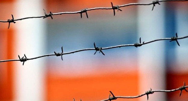 Колючая проволока. Фото: Юрий Гречко / Югополис