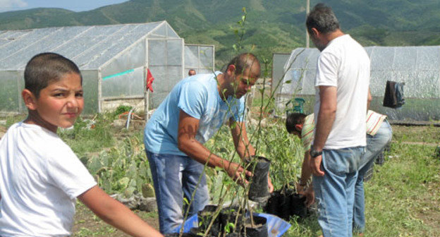 Теплицы иммигрантов из Сирии братьев Врежа и Овика Асмарян в общине Иванян. Нагорный Карабах, Аскеранский район, 5 июня 2013 г. Фото Алвард Григорян для "Кавказского узла"
