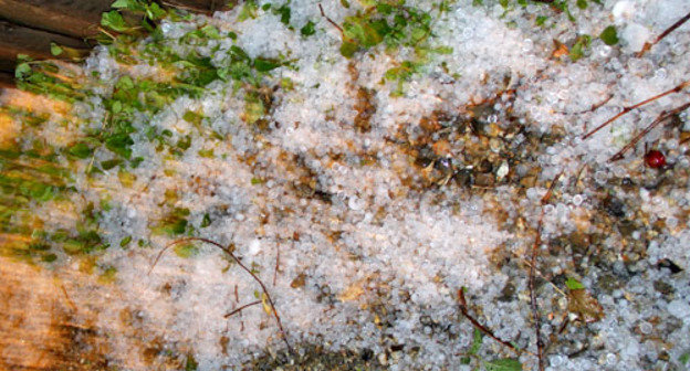 Град, выпавший в Майкопе. Адыгея, 15 июня 2013 г. Фото Олега Чалого для "Кавказского узла"