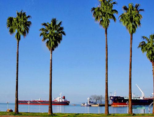 Порт в Батуми. Фото: Polscience (talk) Original uploader was Polscience at en.wikipedia