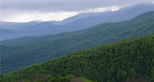 Чечня, Шатойский район. Лесной массив между селами Борзой и Харсеной. Фото: Deshk, http://www.adamalla.com