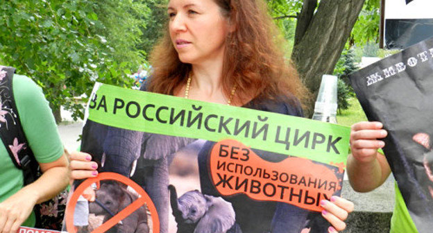 Пикет против использования животных в цирковых представлениях прошел в Волгограде. 3 августа 2013 г. Фото Татьяны Филимоновой для "Кавказского узла"