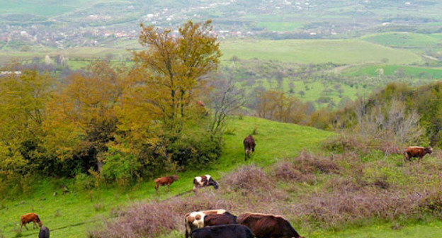 Окрестности села Кармир Шука, Армения. Фото: LJ user plusninety, http://commons.wikimedia.org/