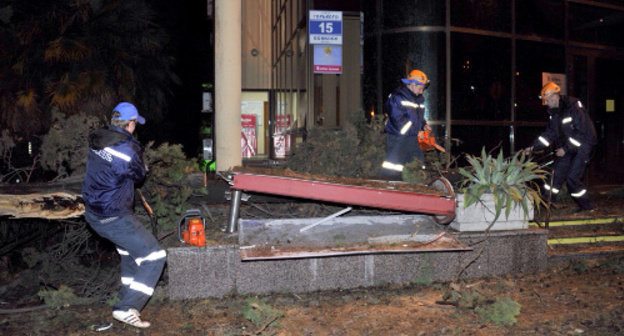 Ликвидация последствий урагана на улице Конституции в Сочи 26 сентября 2013 г. Фото пресс-службы  администрация города Сочи, http://www.sochiadm.ru/press-sluzhba/20541