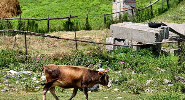 Кабардино-Балкария. Фото: Владимир Аносов. ЮГА.ру
