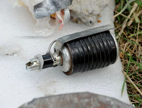 Граната. Фото http://nac.gov.ru