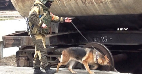 Сотрудник силовых структур. Фото http://nac.gov.ru/ Сотрудник силовых структур. Фото http://nac.gov.ru/