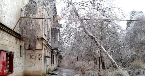 Деревья во льду. Краснодар. Фото Натальи Дорохиной для "Кавказского узла" Деревья во льду. Краснодар. Фото Натальи Дорохиной для "Кавказского узла"