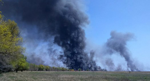 Поажр в Астраханском заповеднике. Фото: http://astrakhanzapoved.ru/wp-content/uploads/2015/04/%D0%BE%D0%B1%D0%B6%D0%BE%D1%80%D0%BE%D0%B2%D0%BE27.04.2015.jpg Поажр в Астраханском заповеднике. Фото: http://astrakhanzapoved.ru/wp-content/uploads/2015/04/%D0%BE%D0%B1%D0%B6%D0%BE%D1%80%D0%BE%D0%B2%D0%BE27.04.2015.jpg