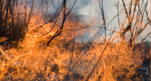 Поле в огне. Фото: http://astrakhanzapoved.ru/%D0%92%D1%81%D0%B5-%D0%BD%D0%BE%D0%B2%D0%BE%D1%81%D1%82%D0%B8/%D0%A1%D0%BE%D0%BE%D0%B1%D1%89%D0%B5%D0%BD%D0%B8%D0%B5-%D0%9C%D0%B8%D0%BD%D0%BF%D1%80%D0%B8%D1%80%D0%BE%D0%B4%D1%8B-%D0%A0%D0%BE%D1%81%D1%81%D0%B8%D0%B8/ Поле в огне. Фото: http://astrakhanzapoved.ru/%D0%92%D1%81%D0%B5-%D0%BD%D0%BE%D0%B2%D0%BE%D1%81%D1%82%D0%B8/%D0%A1%D0%BE%D0%BE%D0%B1%D1%89%D0%B5%D0%BD%D0%B8%D0%B5-%D0%9C%D0%B8%D0%BD%D0%BF%D1%80%D0%B8%D1%80%D0%BE%D0%B4%D1%8B-%D0%A0%D0%BE%D1%81%D1%81%D0%B8%D0%B8/