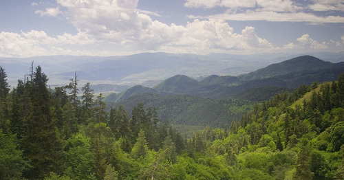 Национальный парк Боржоми-Харагаули. Фото: Polscience at en.wikipedia https://ru.wikipedia.org/