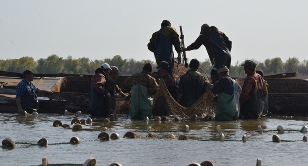 В акватории Каспийского моря браконьеры предпочитают вести промысел на суднах типа "байда". Фото: https://www.astrobl.ru/news/83851