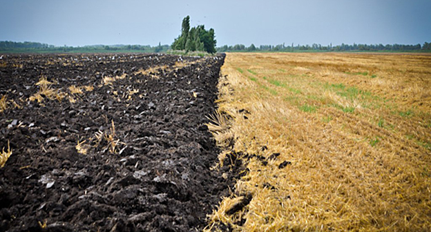 Земля сельхозназначения. Фото: https://www.yuga.ru/news/246611/