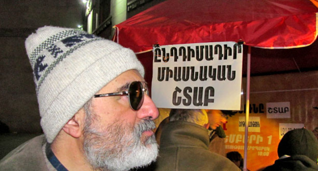 Сторонник "Новой Армении" во время пикетв на площади Свободы. Ереван, 18 декабря 2015 г. Фото Тиграна Петросяна для "Кавказского узла"