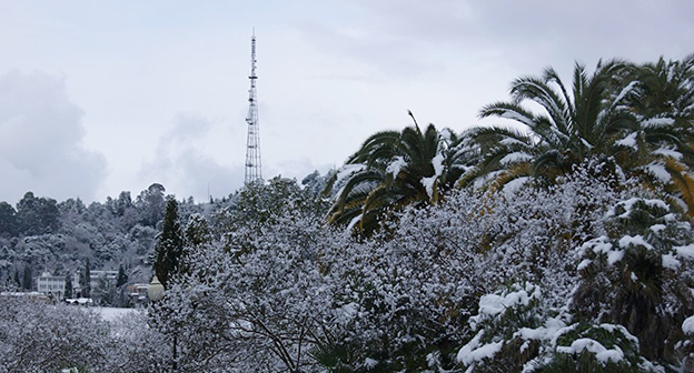 ЛЭП в Абхазии. Фото: © Sputnik. Наала Авидзба, http://sputnik-abkhazia.ru/Abkhazia/20160104/1016811143.html