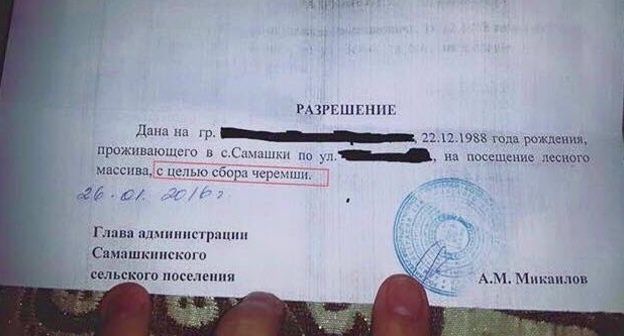 Разрешение, которое выдается жителям села Самашки, подписывает лично глава администрации сельского поселения. Фото корреспондента "Кавказского узла". 