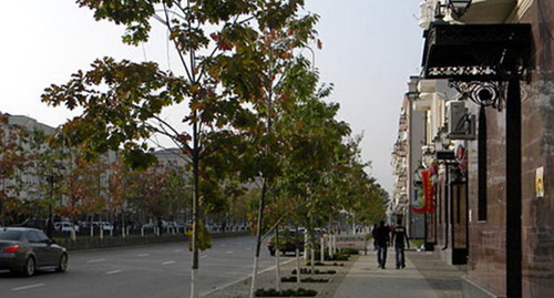 Чечня, Грозный, проспект Путина. Фото корреспондента "Кавказского Узла" Чечня, Грозный, проспект Путина. Фото корреспондента "Кавказского Узла"