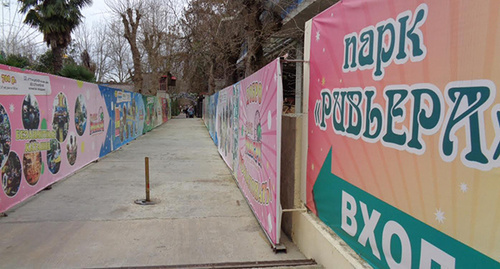 Сочинский парк "Ривьера". Фото Светланы Кравченко для "Кавказского узла" Сочинский парк "Ривьера". Фото Светланы Кравченко для "Кавказского узла"