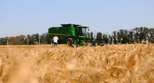 Сельскохозяйственные работы. Фото: Михаил Ступин / Югополис