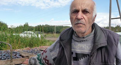 Урожай фермера села Кахцрашен. Фото Армине Мартиросян для "Кавказского узла"