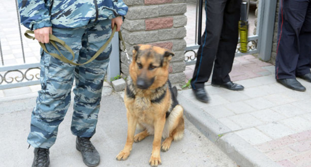 Сотрудник полиции возле здания Северо-Кавказского окружного военного суда. Фото Олега Пчелова для "Кавказского узла"