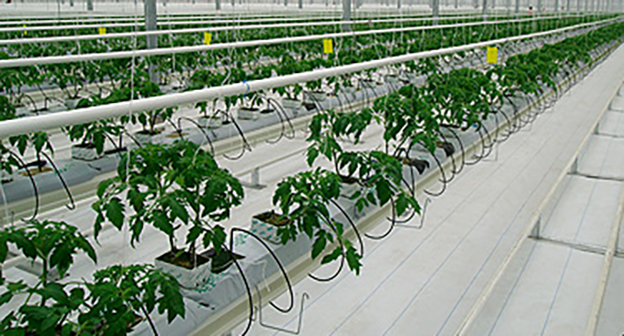 «Аркоюг ТК "Азовский"». Фото: https://deloru.ru/news/6446/