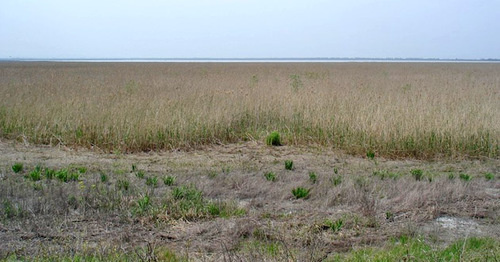 Шапсугское водохранилище. Фото: User "_Vladius_" in Panoramio https://ru.wikipedia.org