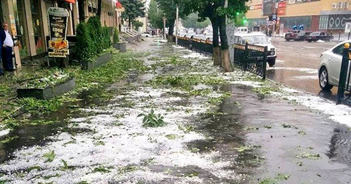 Град на улицах Волгограда. Июнь 2016 г. Фото http://sputnik-ossetia.ru/news/20160605/2057698.html