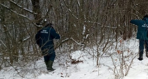 Поиски пропавшего ребенка в Белореченском районе Краснодарского края. 22 января 2017 года. Фото: http://23.mchs.gov.ru/ Поиски пропавшего ребенка в Белореченском районе Краснодарского края. 22 января 2017 года. Фото: http://23.mchs.gov.ru/