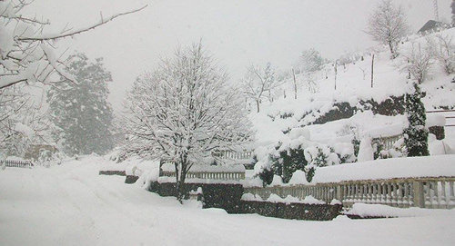 Снегопад в Аджарии. Фото © FB / администрация Хелвачаури
 https://sputnik-georgia.ru/incidents/20170202/234732703/Sneg-razrushil-dom-v-Adzharii-odin-chelovek-pogib.html