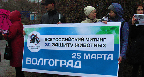Участники митинга "За защиту животных" с плакатом. Фото Вячеслава Ященко для "Кавказского узла"