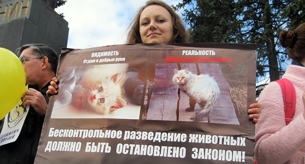 Плакат участницы пикета в защиту животных
Фото Константина Волгина для "Кавказского узла"  