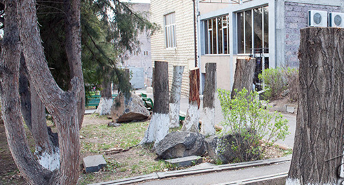 Вырубка деревьев в Давдашене. Фото © Sputnik/ Asatur Yesayants
https://ru.armeniasputnik.am/incidents/20170410/6973194/policiya-zaderzhala-vandala-vyrubivshego-v-erevane-derevya.html